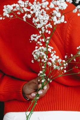 person wearing red sweater and baby's breath flowers
